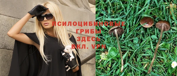 ALPHA PVP Алзамай