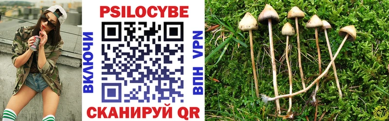 Псилоцибиновые грибы мицелий  купить   Ахтырский 